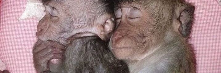 kelia‼️‼️‼️ banner