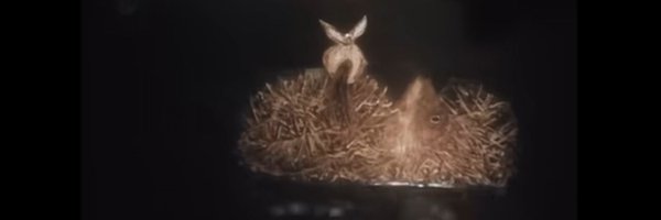 Ehudii Profile Banner