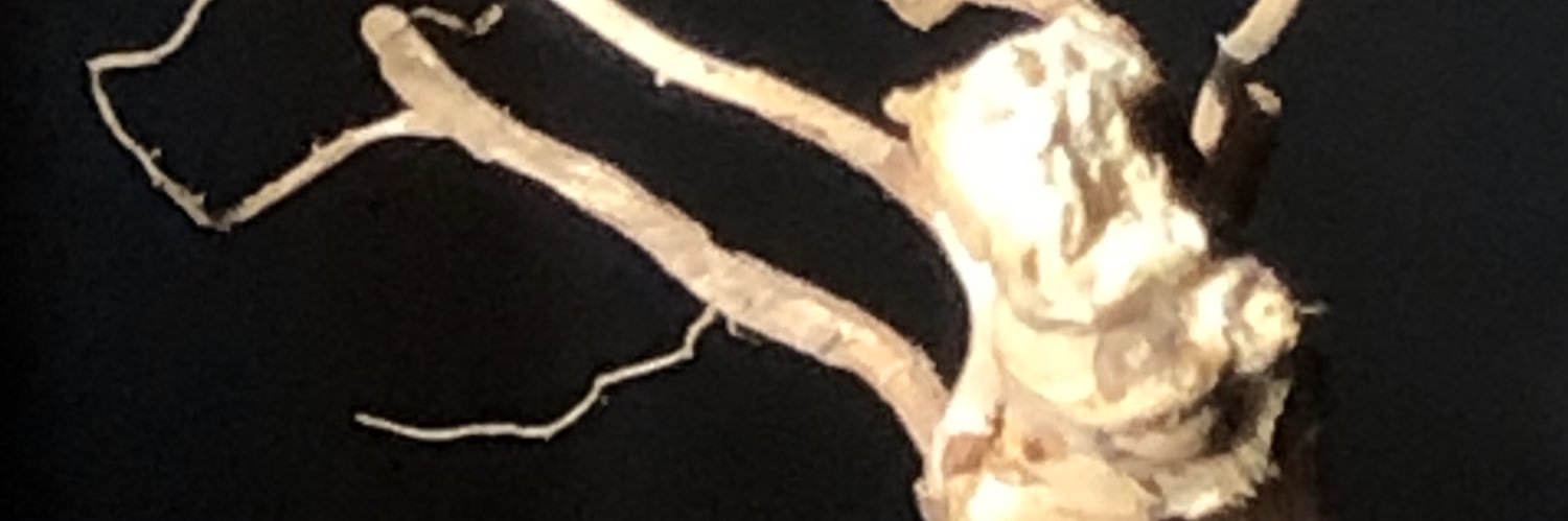 vic_martine's profile banner image