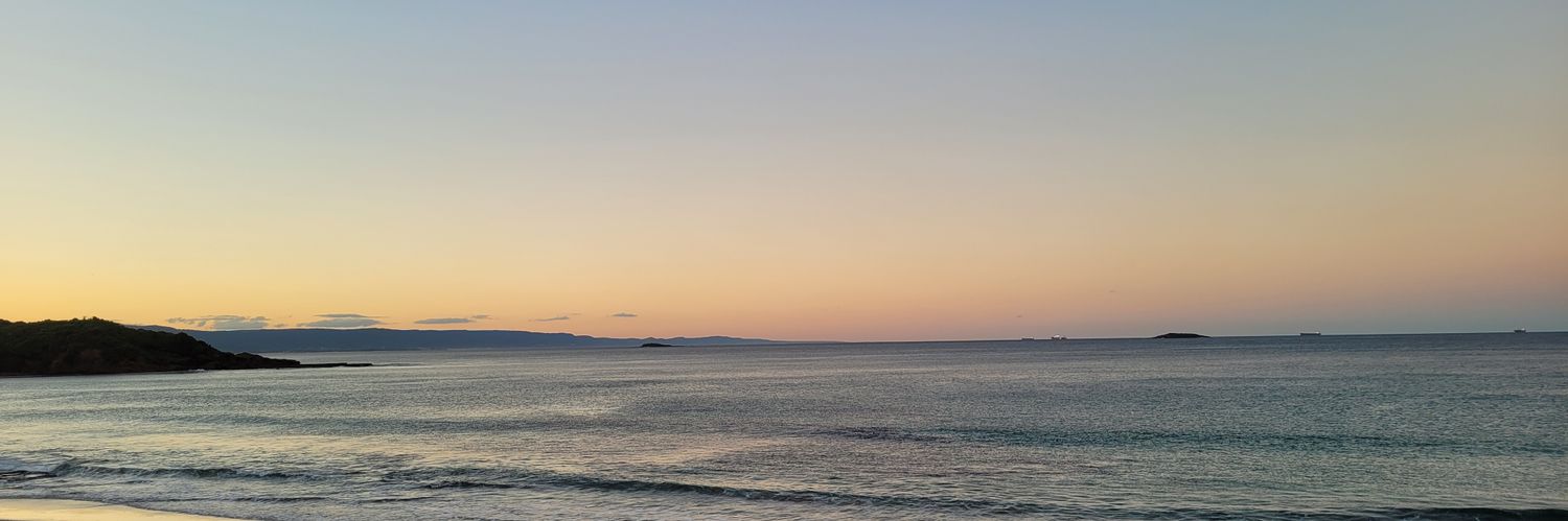Larissapons banner
