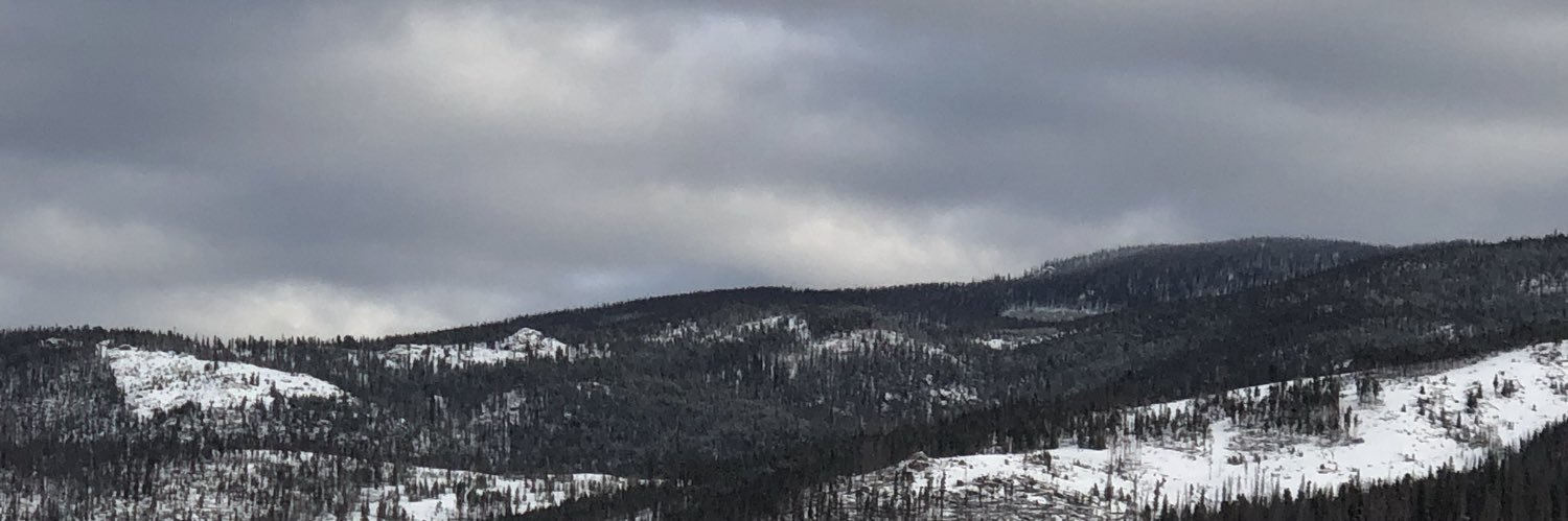 jeni_a's profile banner image