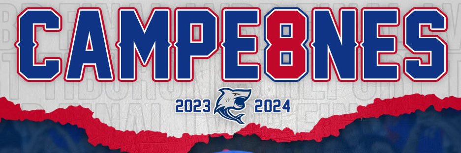 Tiburones Report's banner