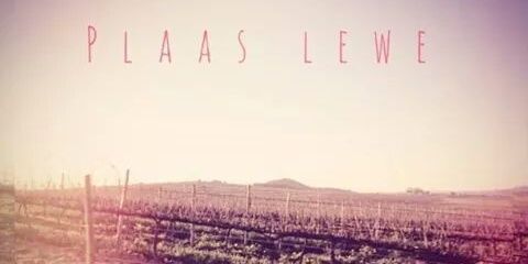 Afrikaans_Quotes_LR banner