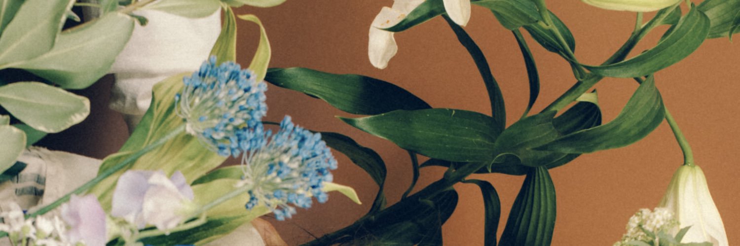 山本きゅーり banner