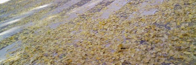 hidekatov3's profile banner image