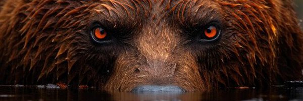 _tylergarrett Profile Banner