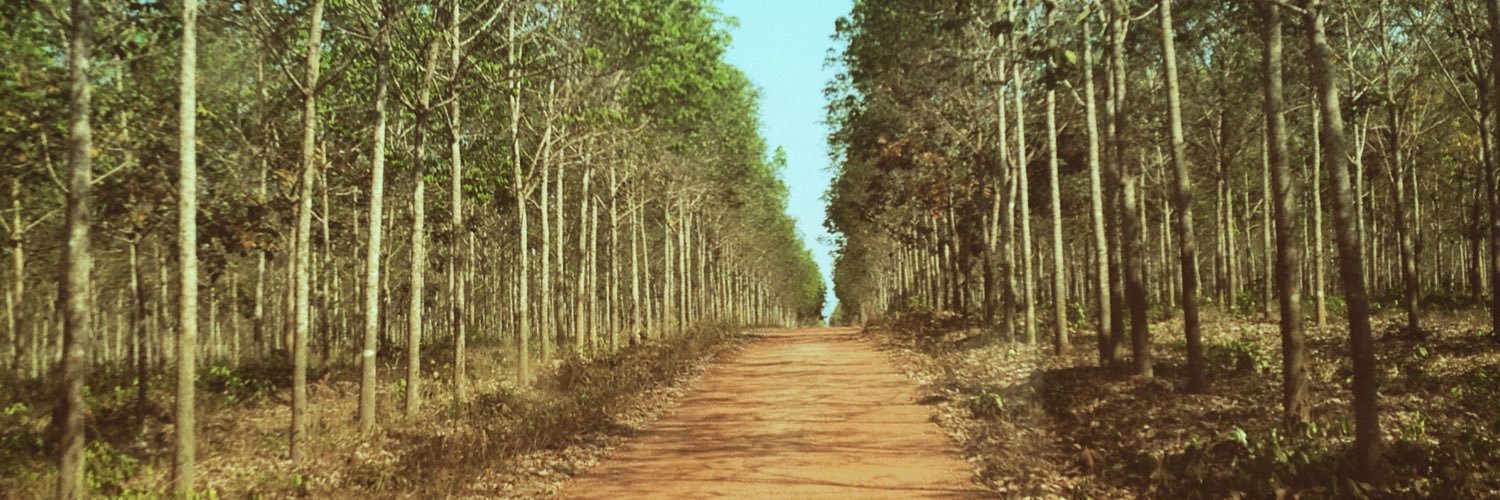 Nicole Cairns banner