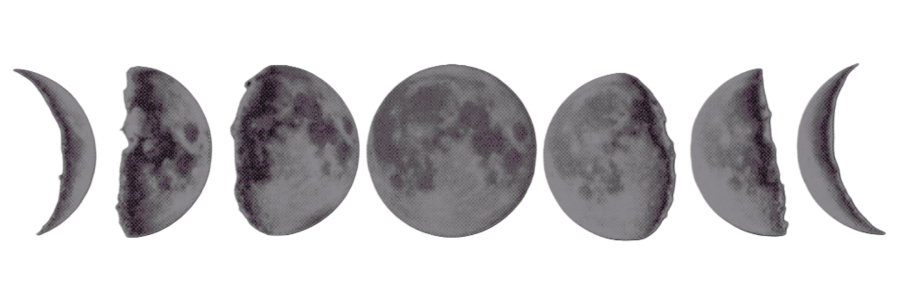 ᅟᅟᅟᅟᅟ 𝖙he 𝖒other 𝖜itch. banner