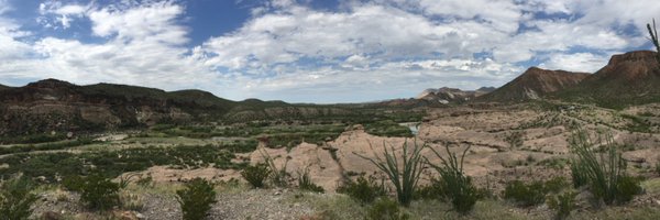 tomfoster2 Profile Banner