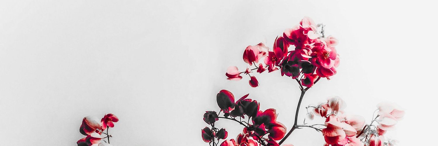 cathindri's profile banner image