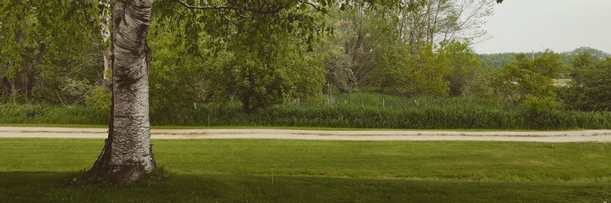 ZanyZax's profile banner image