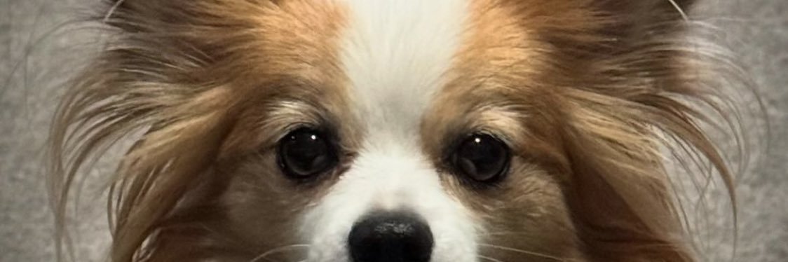 andrealezaqui's profile banner image