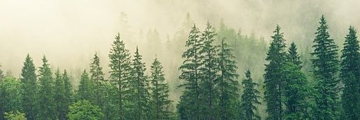 DallasUppingho1's profile banner image