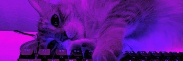 knife__cat's profile banner image