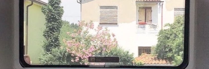 ✿⃘ banner