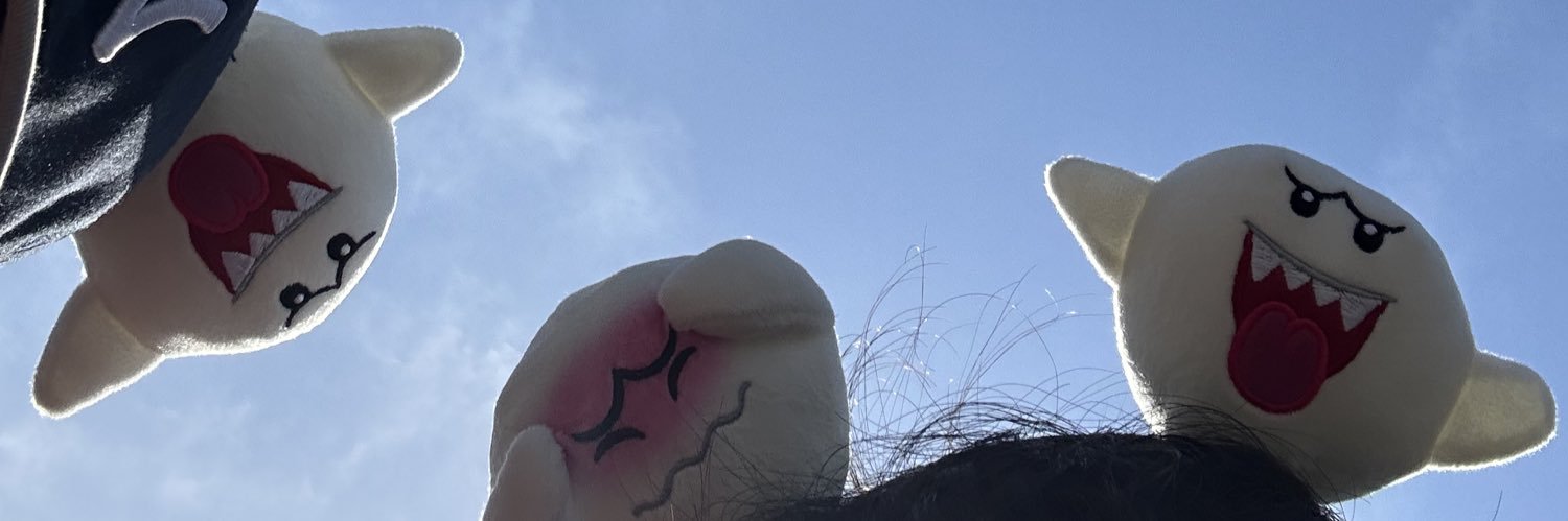 Ravis_rabbit's profile banner image