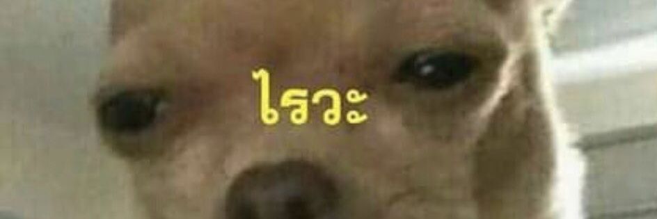 BBKU banner