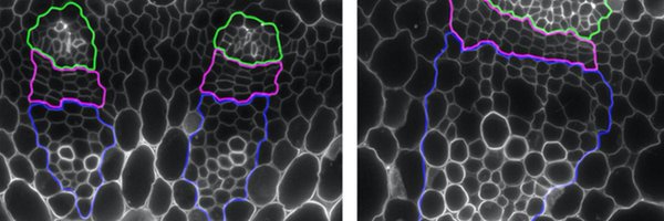 VishmitaSethi Profile Banner