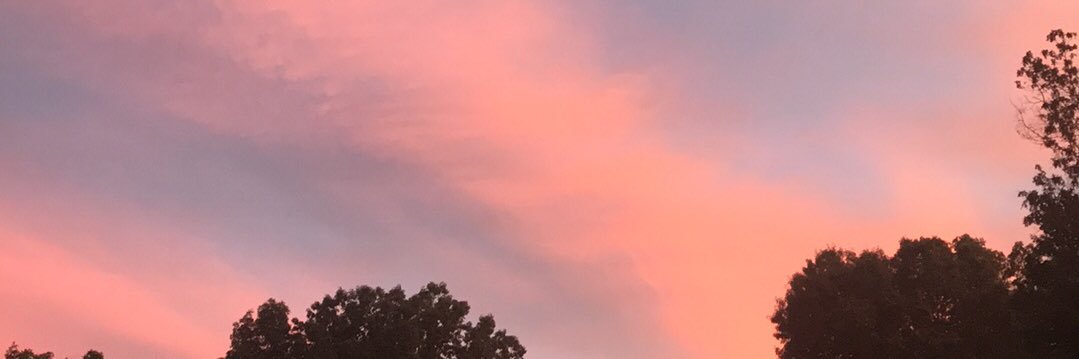 Everydaytori's profile banner image