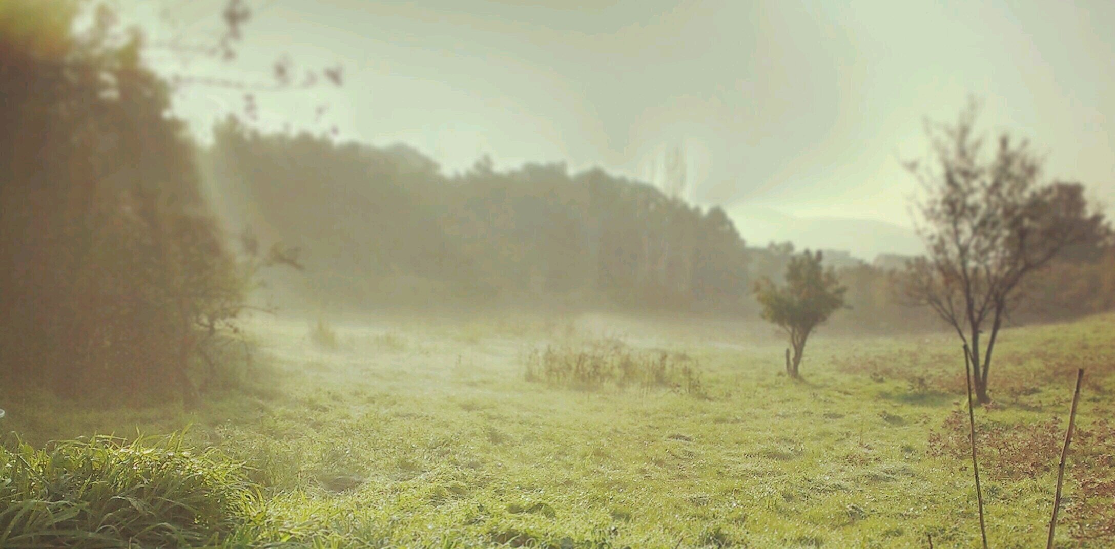 zyhzrl's profile banner image