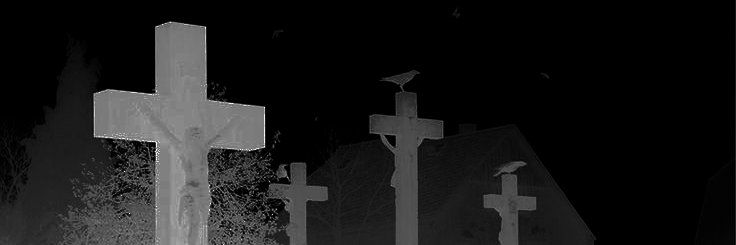 💀 ♰ 𝕿𝖔𝖗𝖆 ♰ 💀's banner