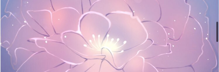 ✦澄星 - sumihoshi banner