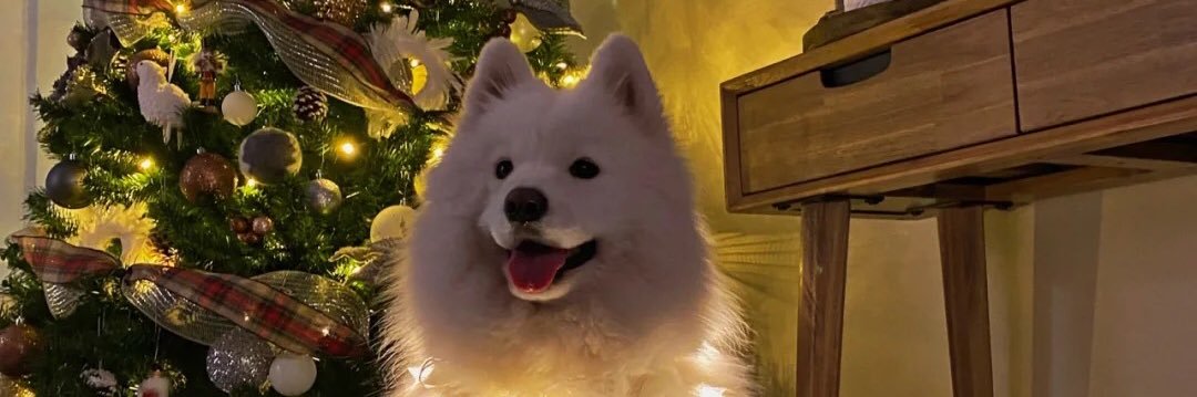 ChloeC1314's profile banner image