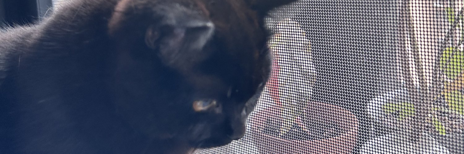 西瓜没汁了 banner