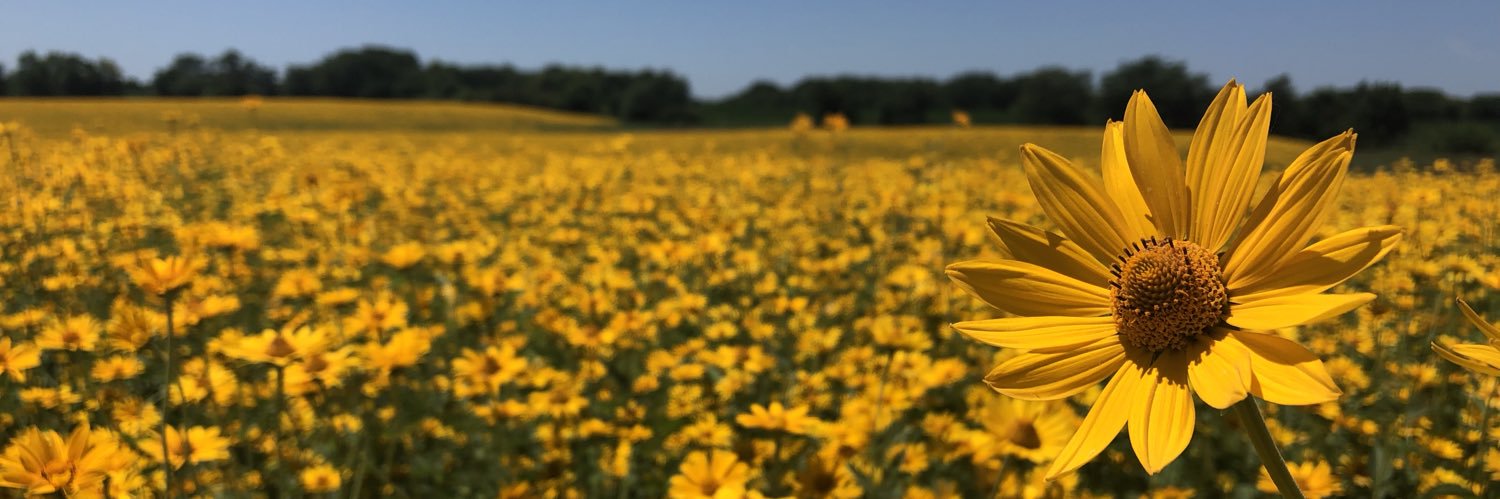 beelindaaaa_'s profile banner image