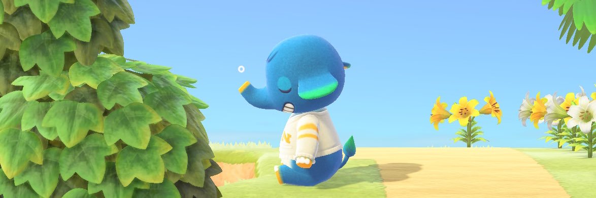 cute_taiko's profile banner image