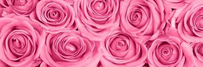 ur fav girl 💗 banner