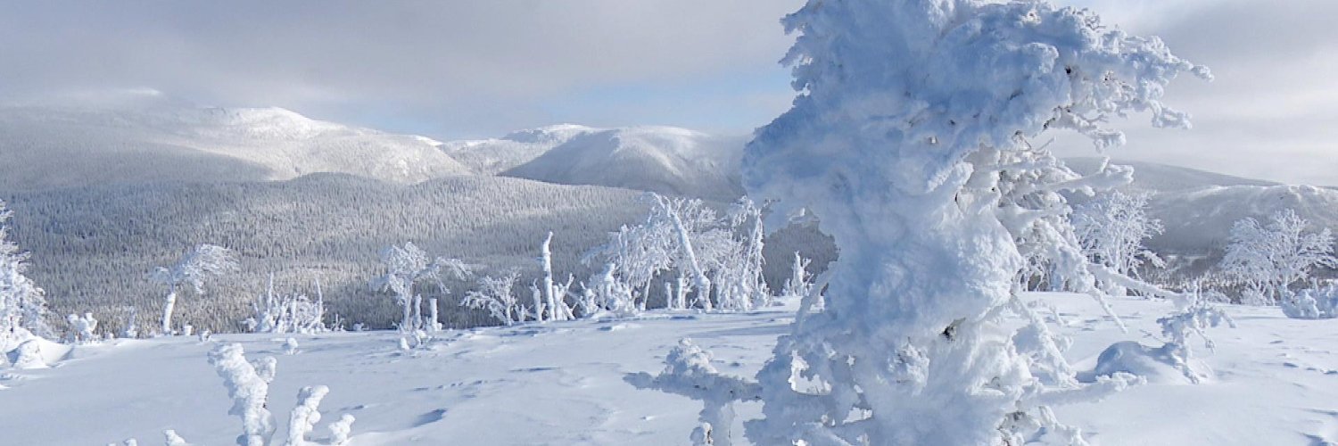 JFDeschenes's profile banner image