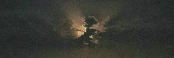 dzakh_dev Profile Banner