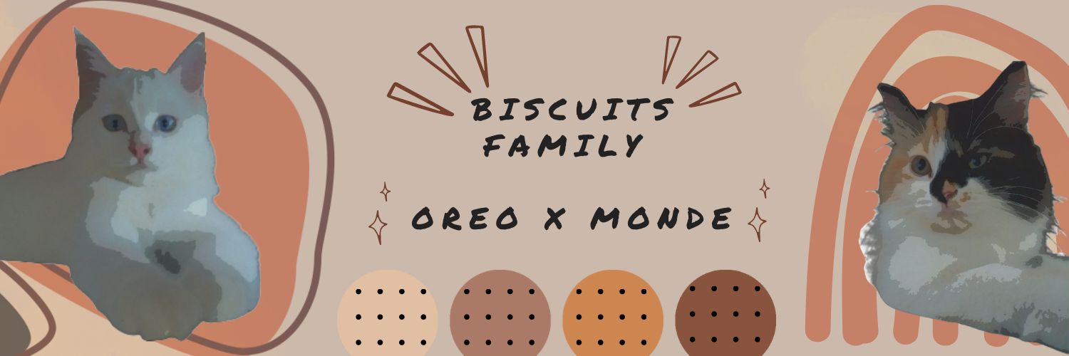 Oreo ❌ Monde banner