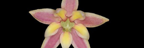 sinker111111 Profile Banner