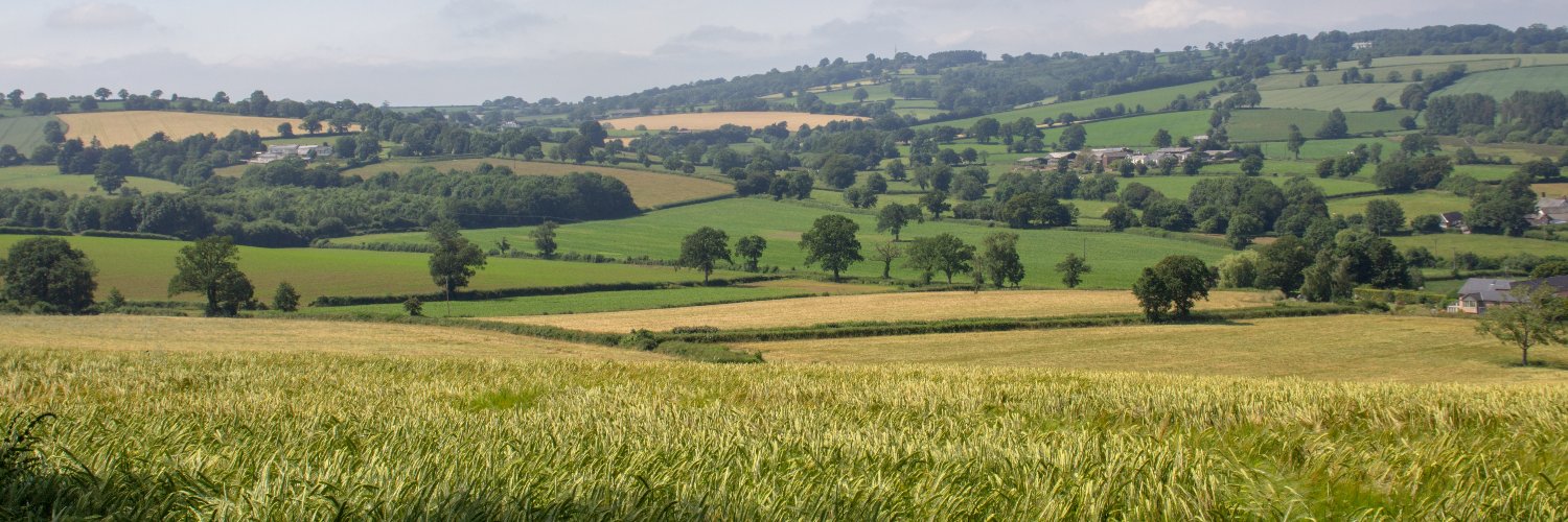 DevonPies's profile banner image