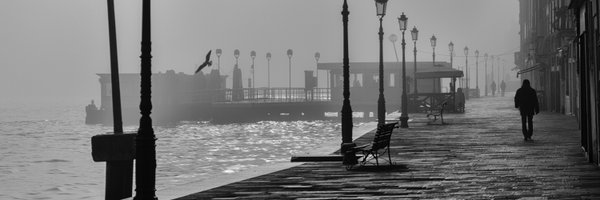 Hitchcockbirds Profile Banner