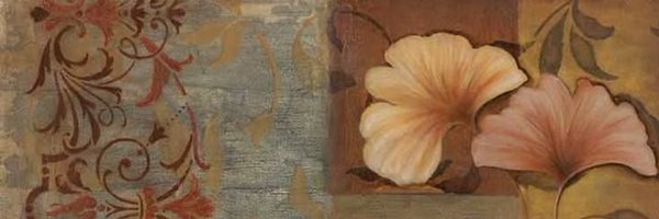 libralaxy Profile Banner