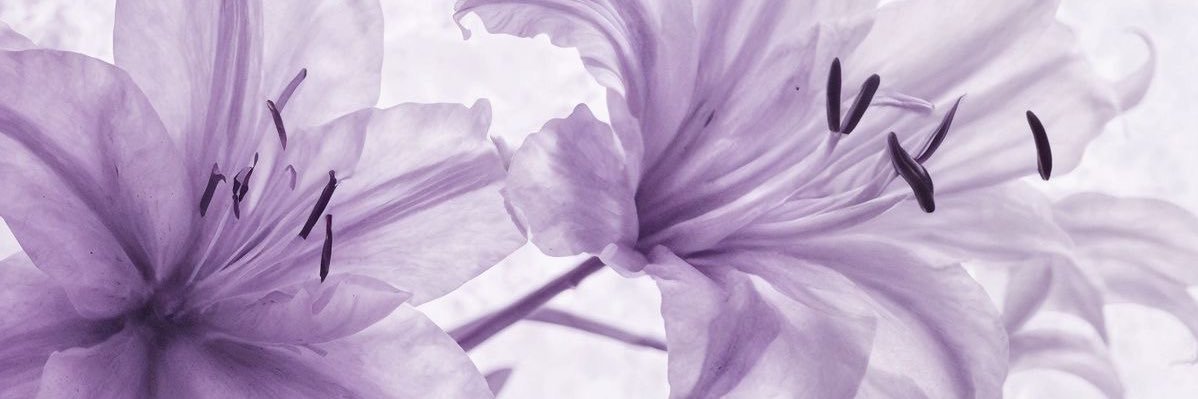 cbbybum_'s profile banner image