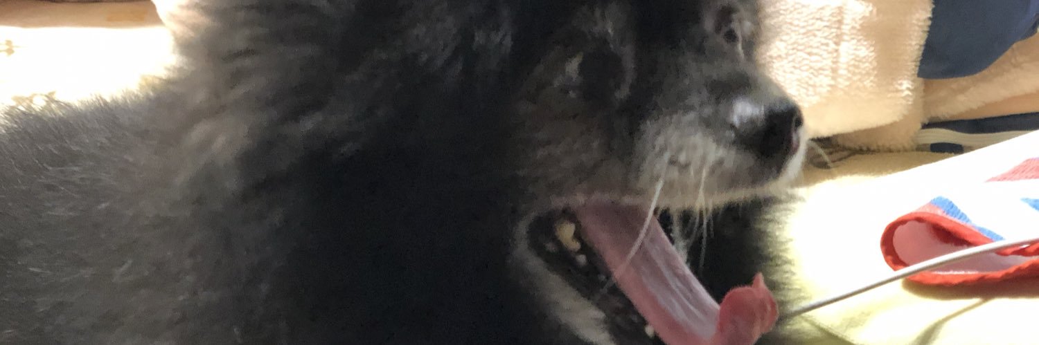 クロと僕のまったり生活 banner