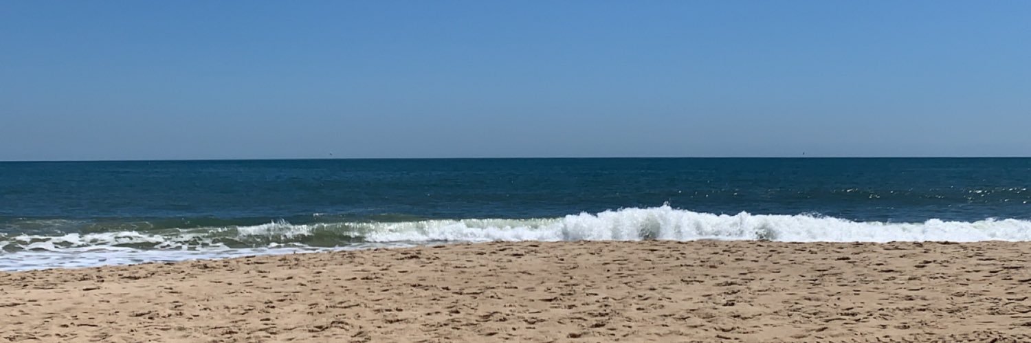 Ashley Detweiler banner