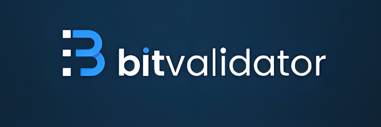 BitValidator's profile banner image
