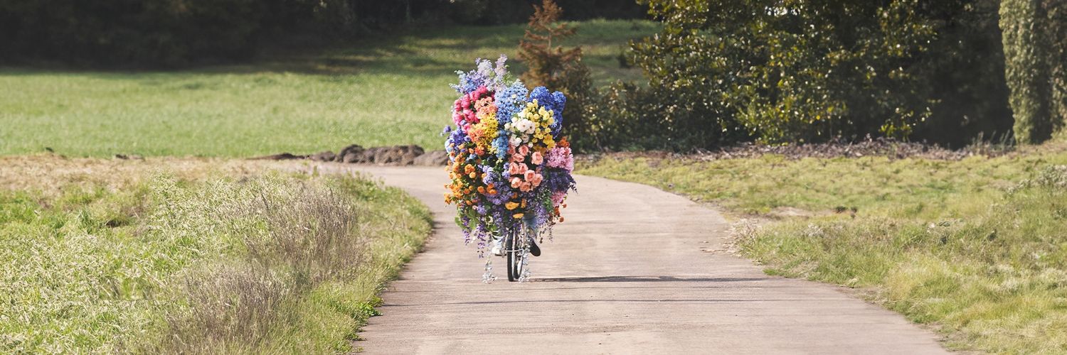 ofs 𐙚 ☽̶☾ banner