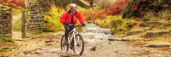 wmbrewin Profile Banner