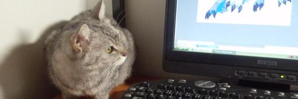 _NITAMAGO Profile Banner