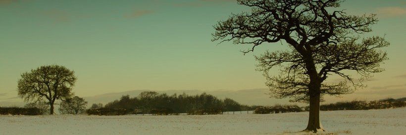 thu746's profile banner image