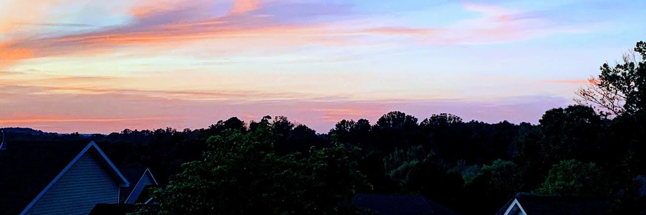 dubdavis's profile banner image