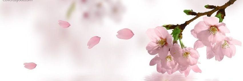 ohhelayne's profile banner image