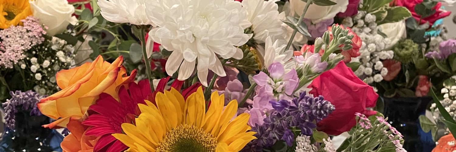 lisafspence's profile banner image