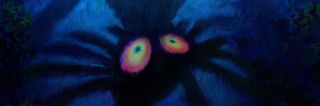 lizamdoherty's profile banner image